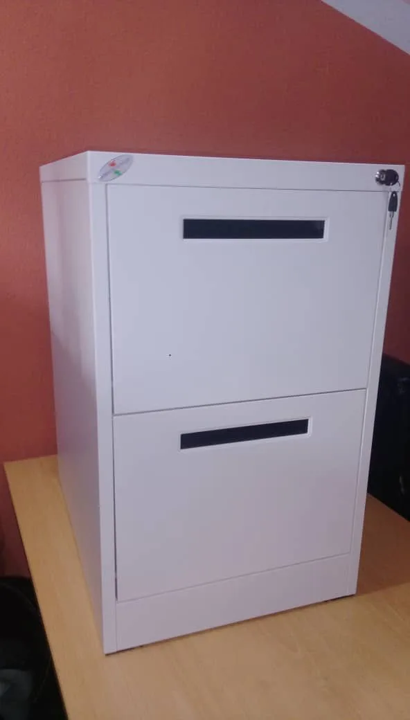  2-Drawer Vertical Filing Cabinet