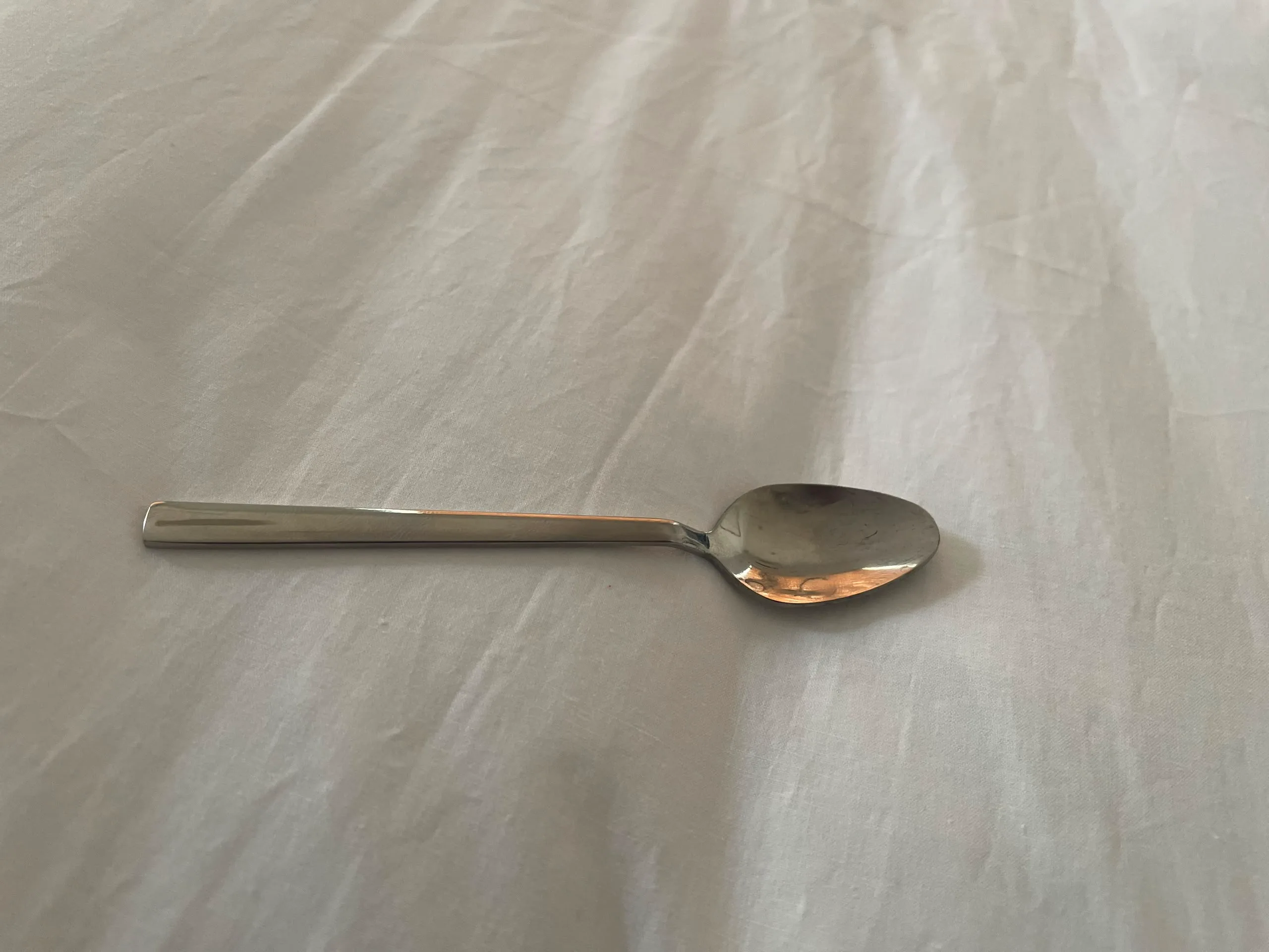 Stainless Spoon